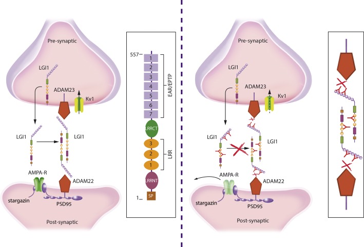 FIGURE 10.