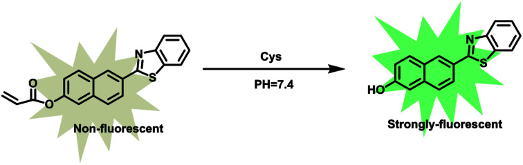 graphic file with name c8ra05908j-ga.jpg