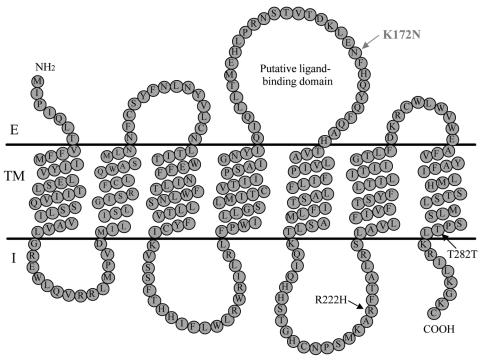 Figure  3