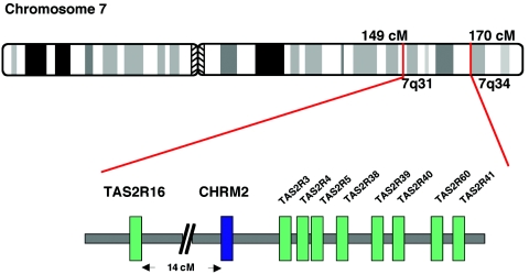 Figure  1