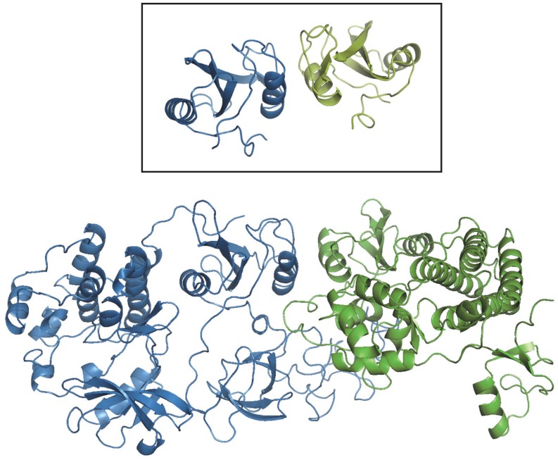 Fig. 5.