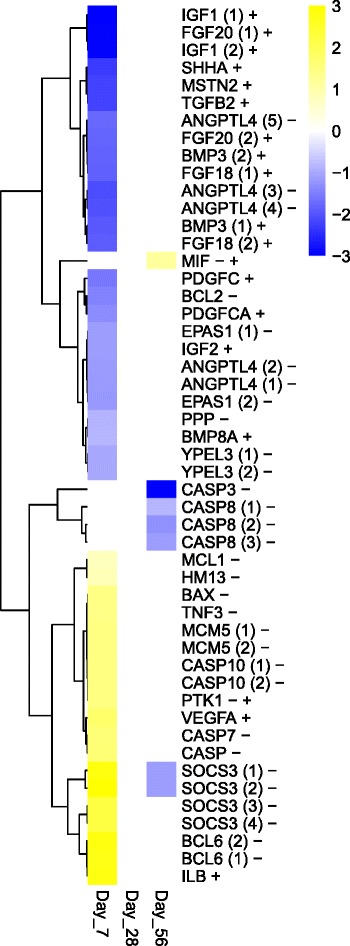 Fig. 6