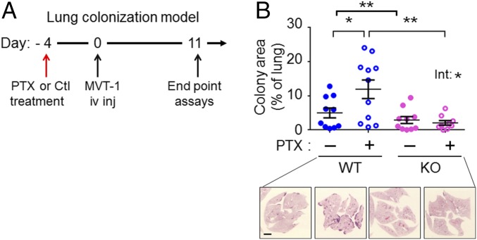 Fig. 4.