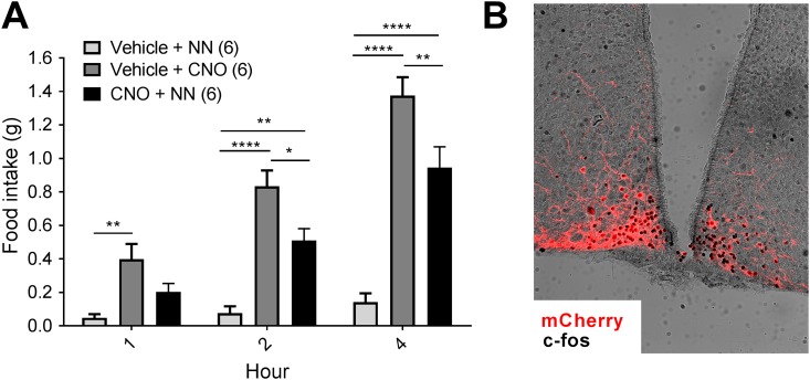 Figure 5.