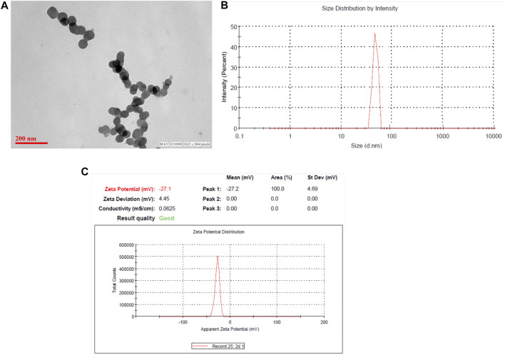 FIGURE 2