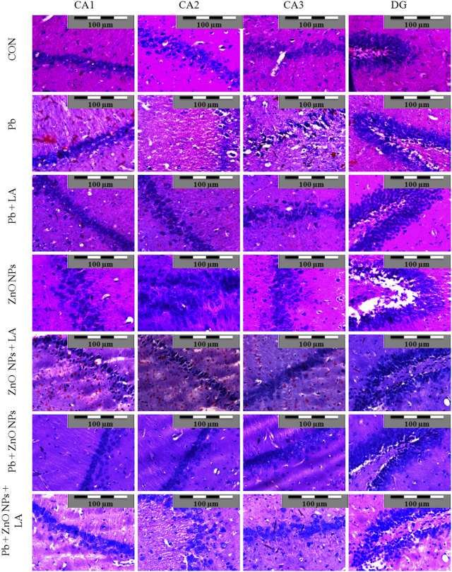 FIGURE 15