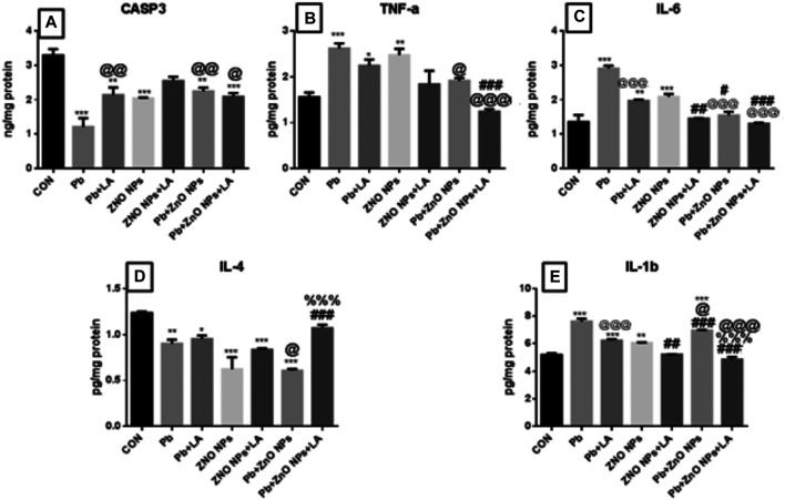 FIGURE 12