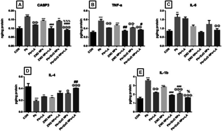 FIGURE 13