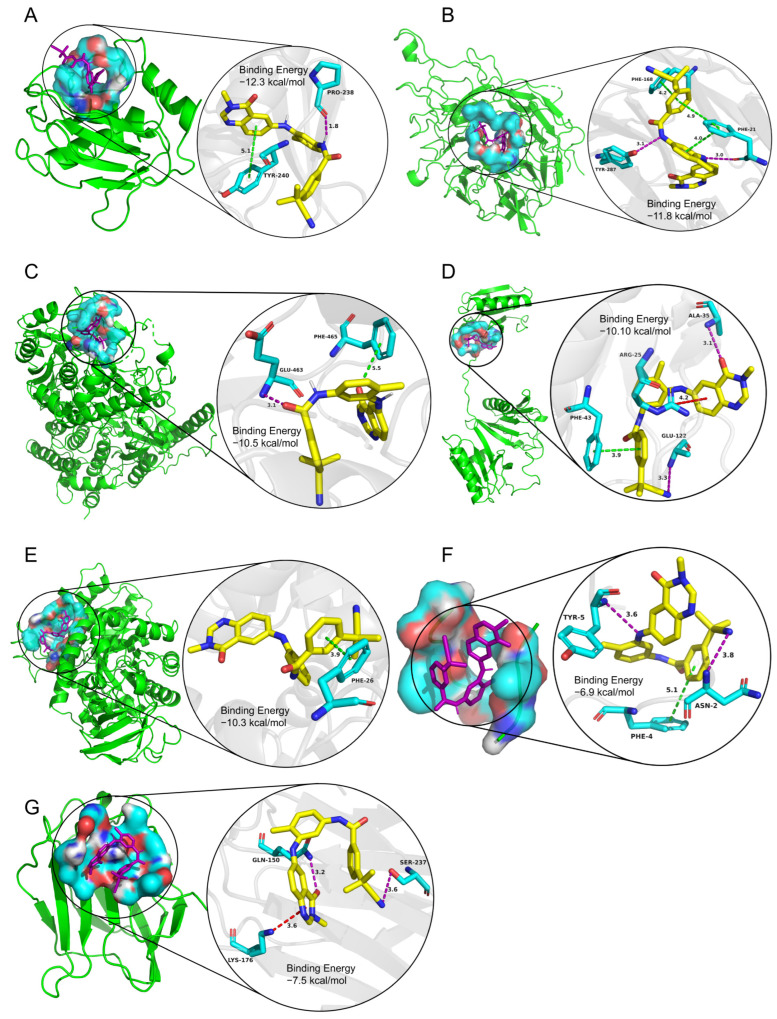 Figure 11