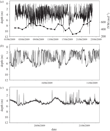 Figure 2.