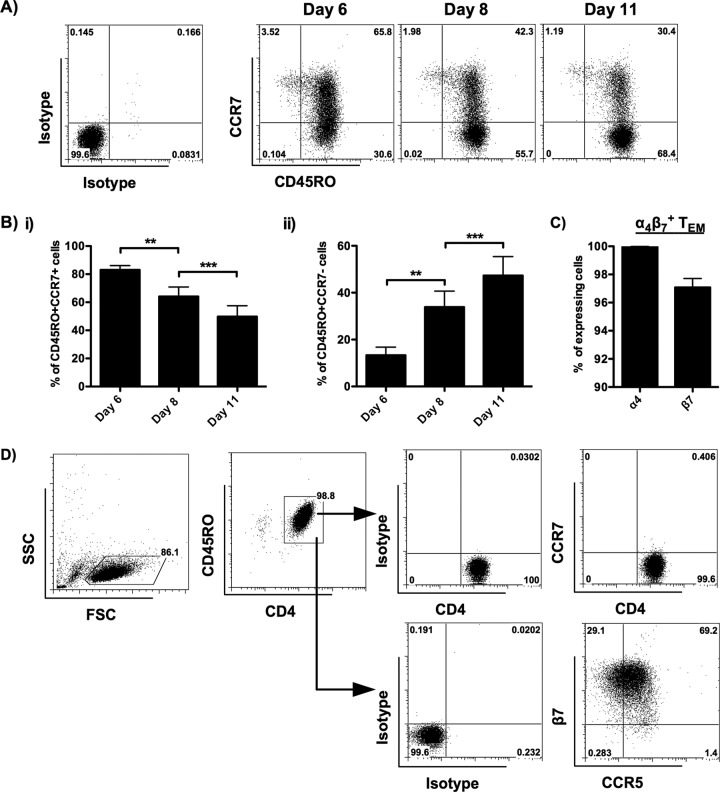 FIG 2