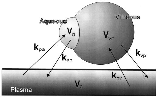 FIG. 1