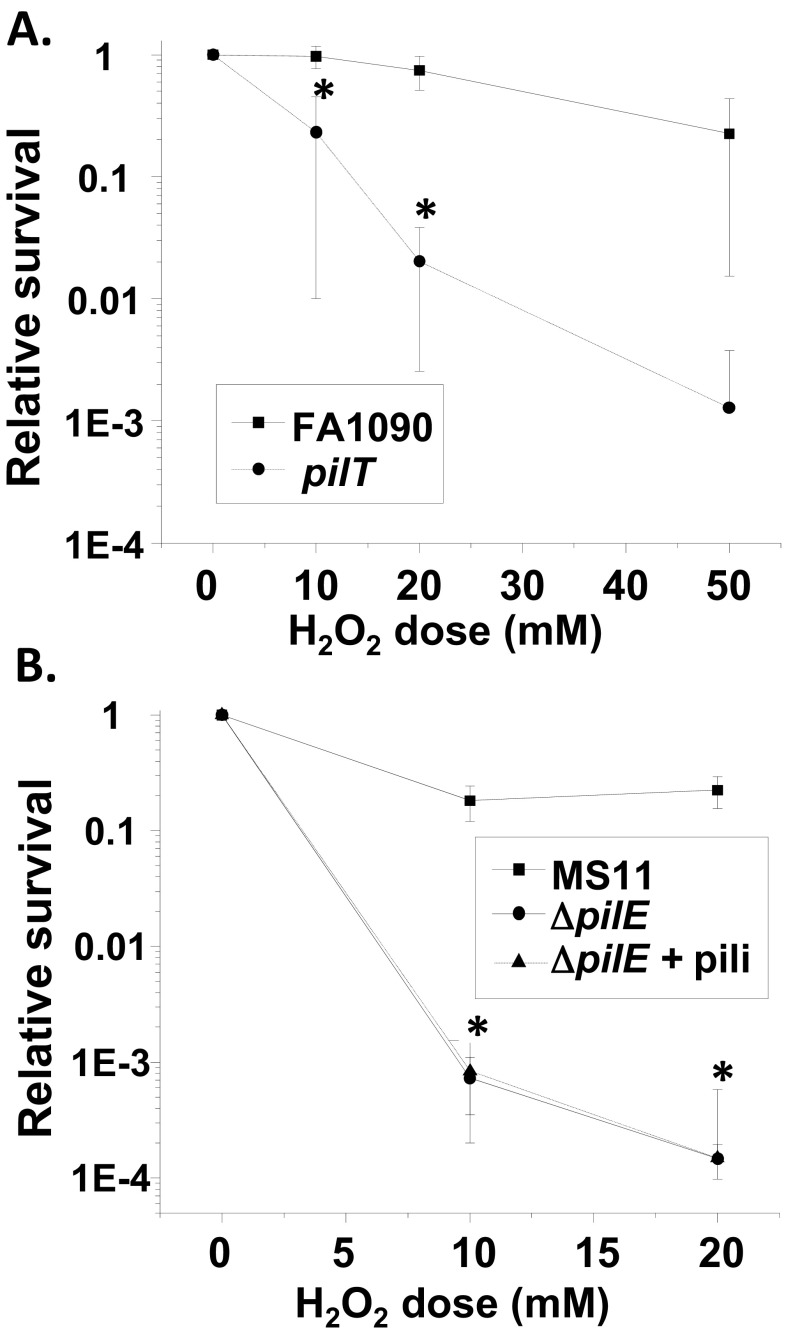 FIG 7 