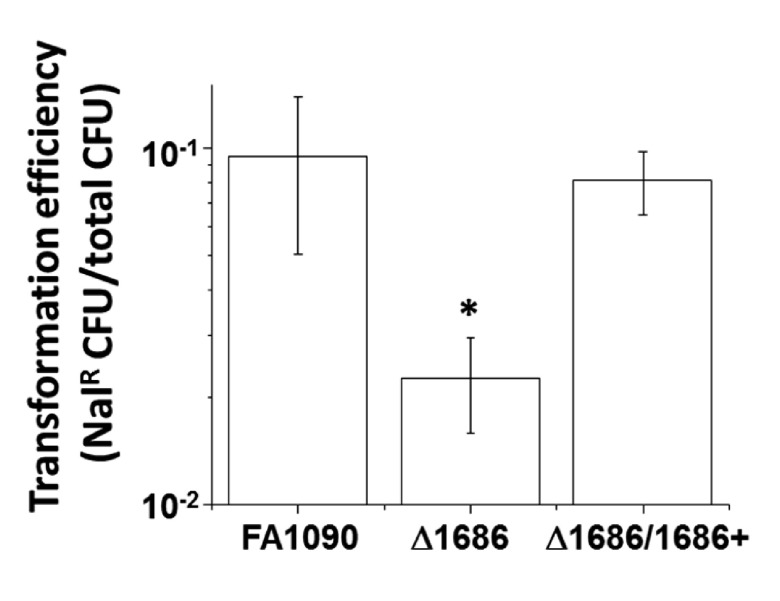 FIG 3 