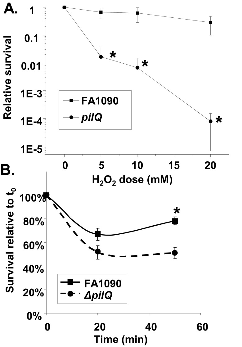 FIG 5 