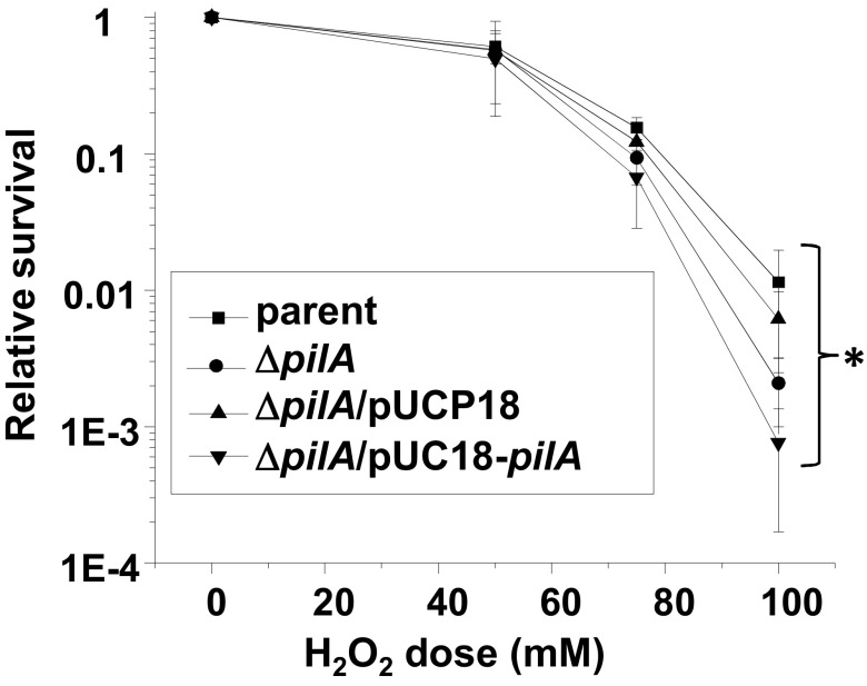 FIG 6 