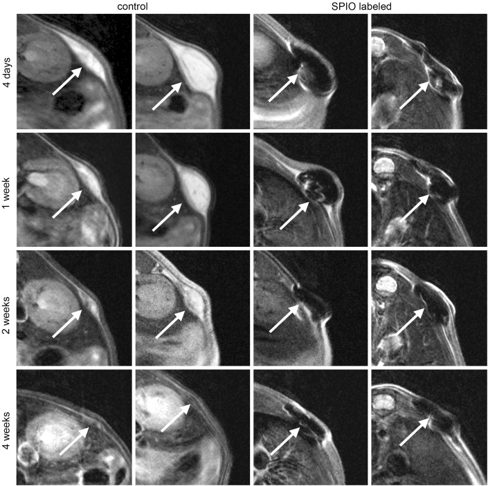 FIG. 5.