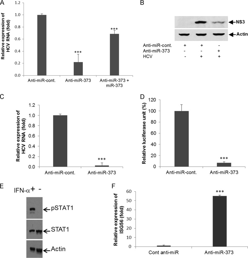 FIG 6