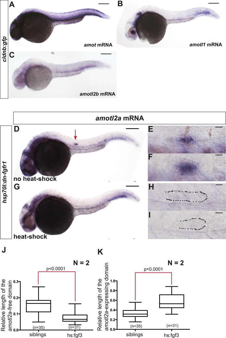 Figure 1—figure supplement 1.