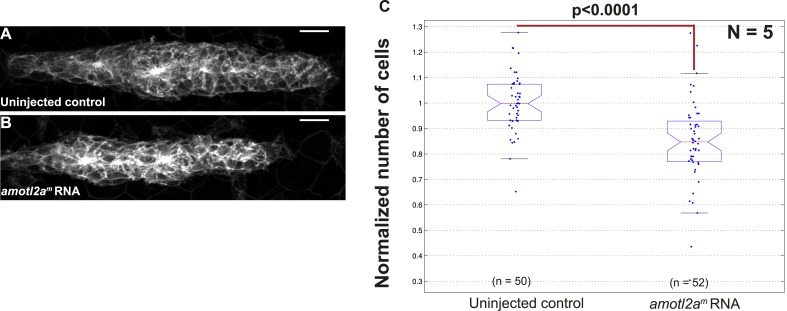 Figure 3—figure supplement 2.