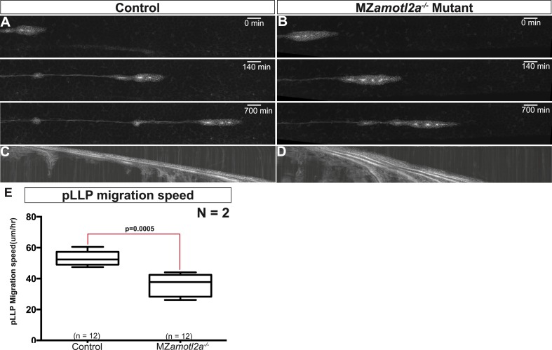 Figure 4—figure supplement 1.