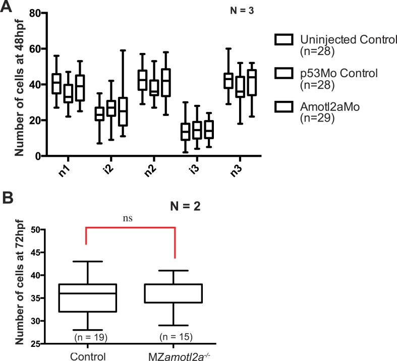 Figure 4—figure supplement 2.