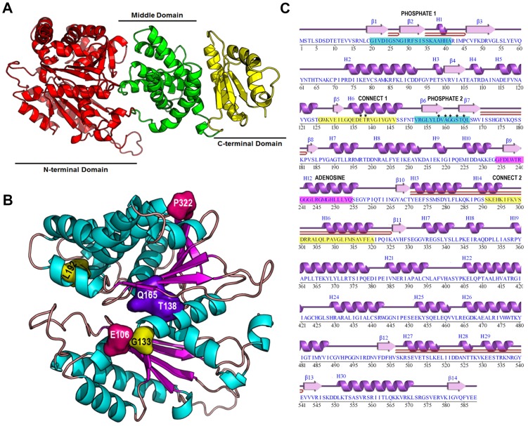 Fig 1