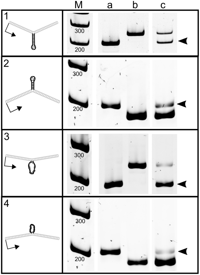 Figure 9.