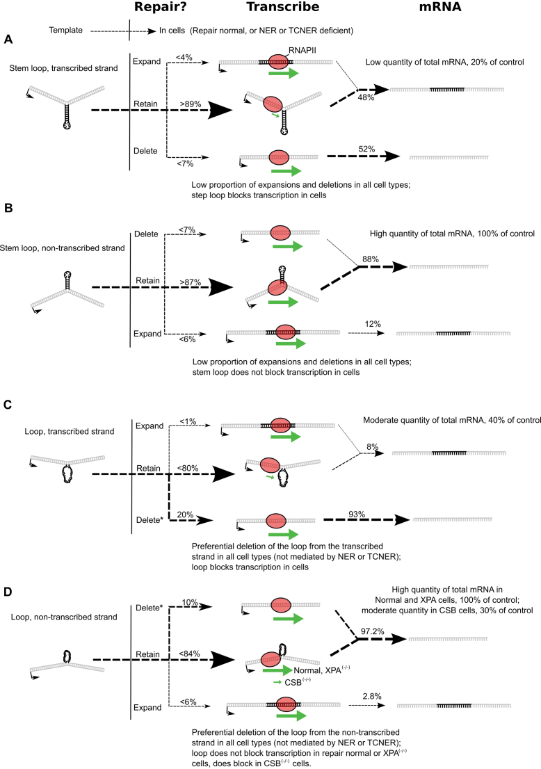 Figure 10.