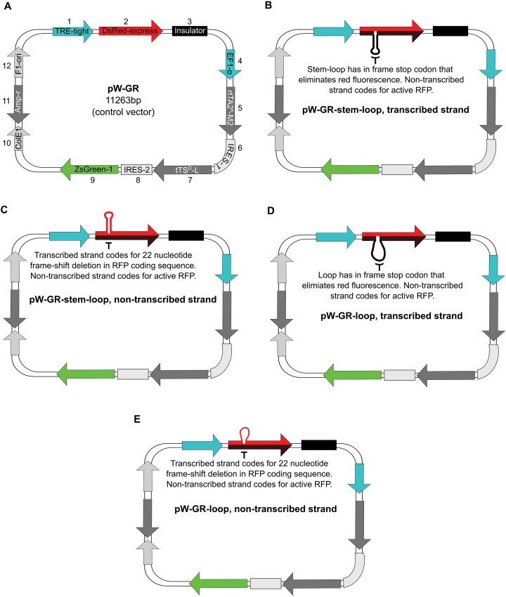 Figure 5.