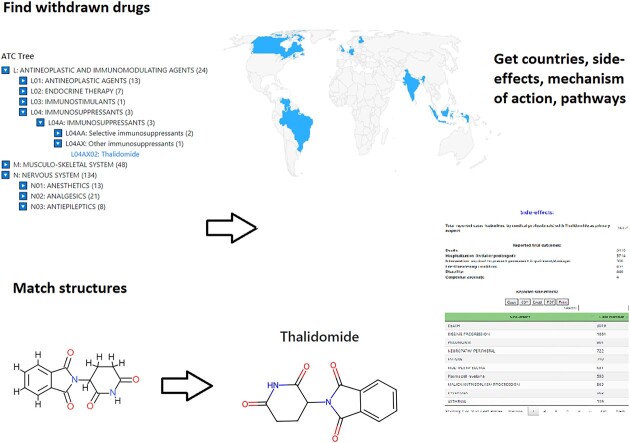 Graphical Abstract