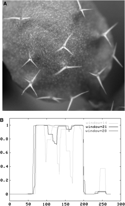 Figure 7.