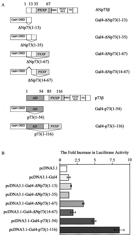 FIG. 9.