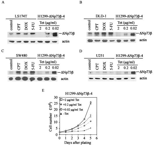 FIG. 4.