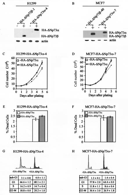 FIG. 7.