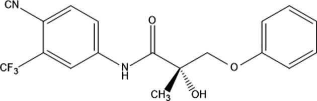 Figure 2b