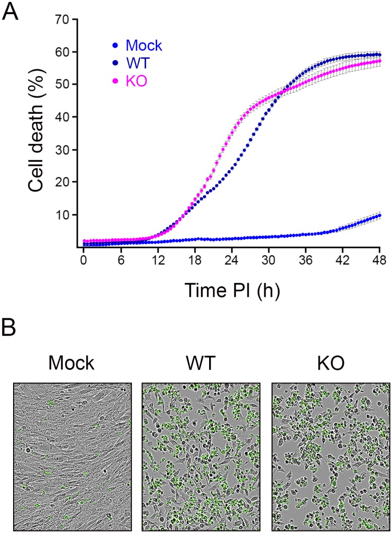 Fig 4