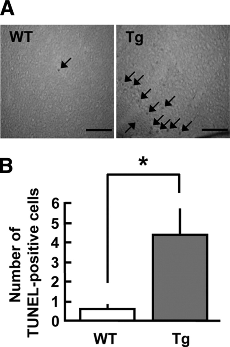 Fig. 5.