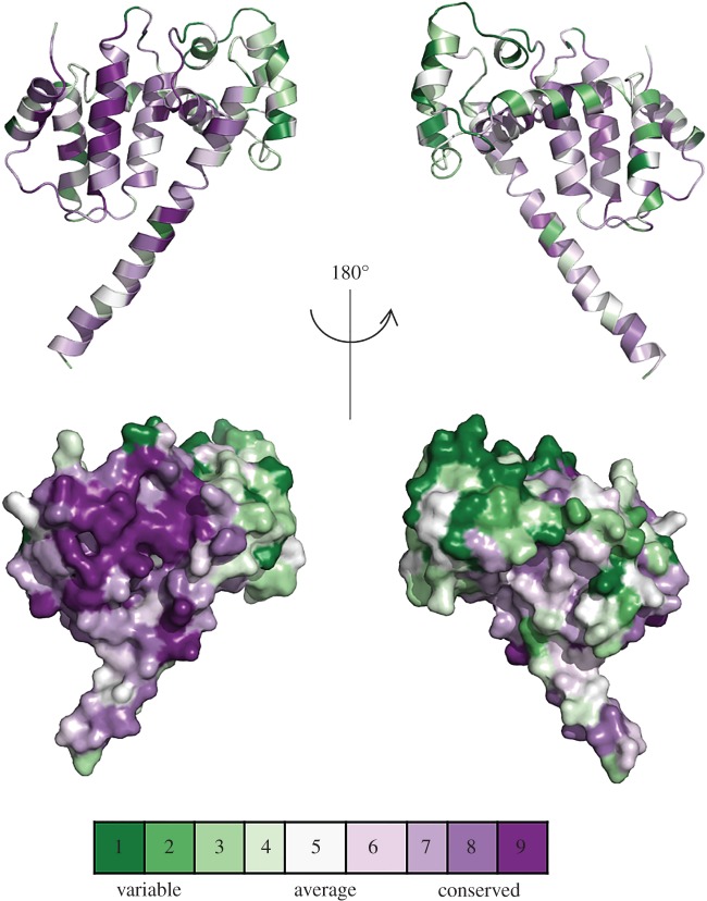 Figure 4.