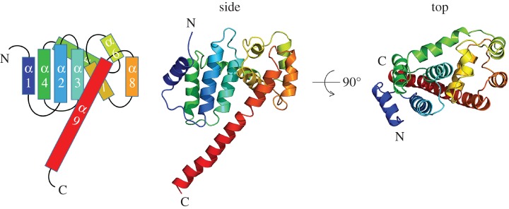 Figure 3.