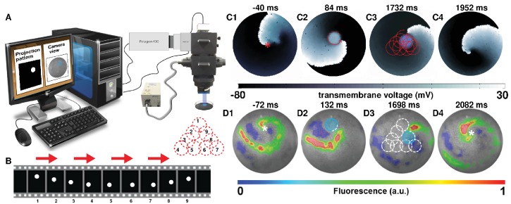 Figure 1.