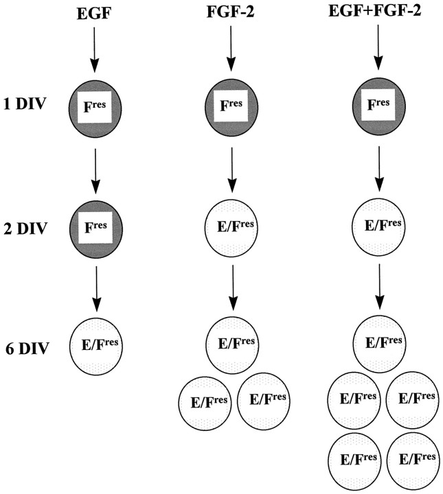 Fig. 9.