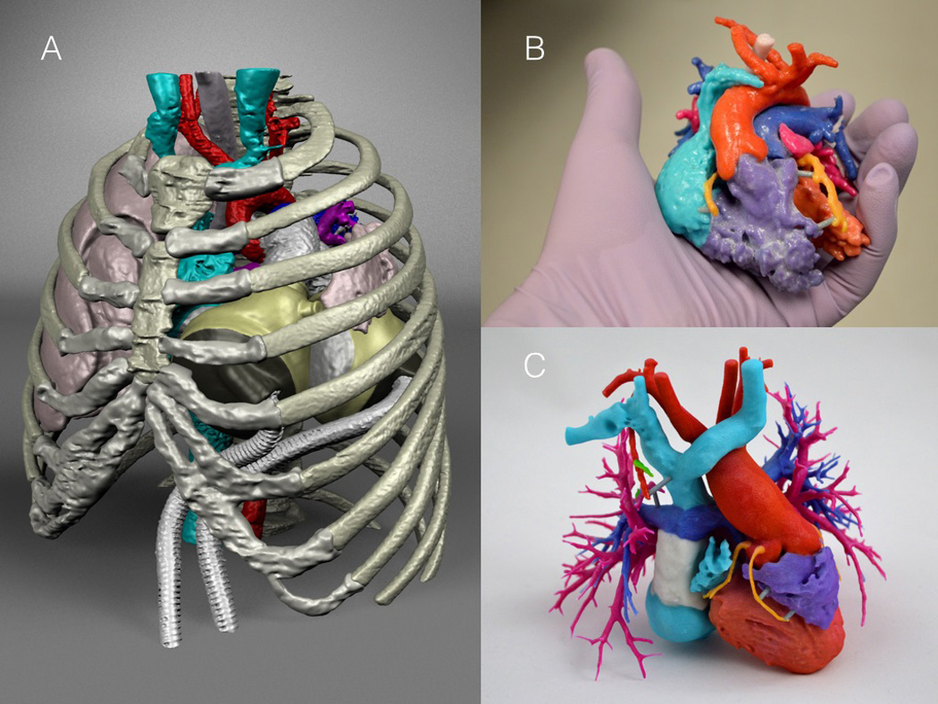 FIGURE 3