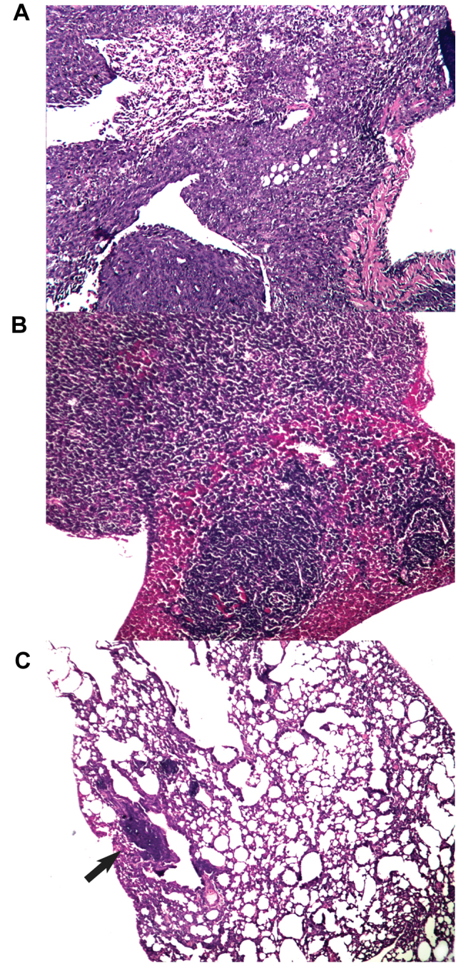 Figure 5.