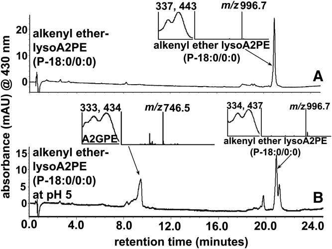 Fig. 7.