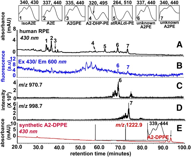 Fig. 2.