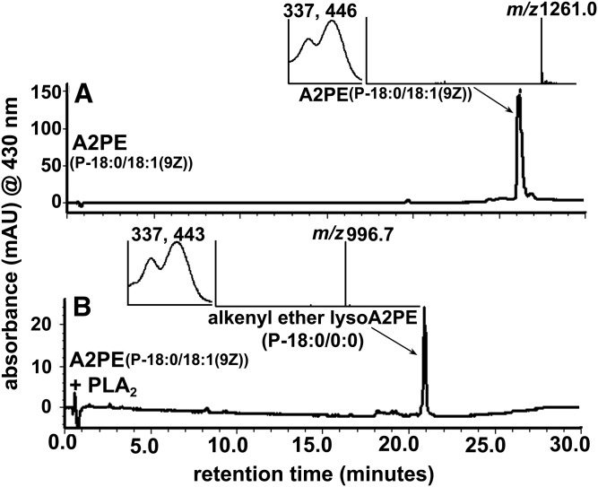 Fig. 6.