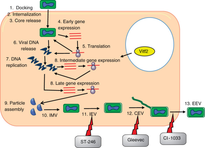 Figure 2.