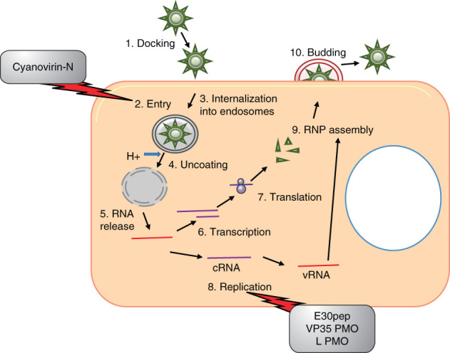 Figure 3.