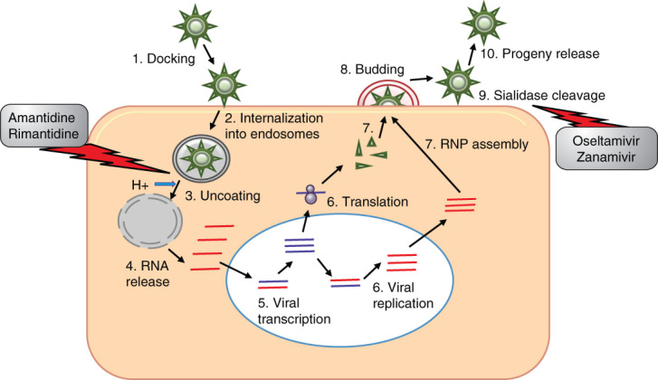 Figure 1.